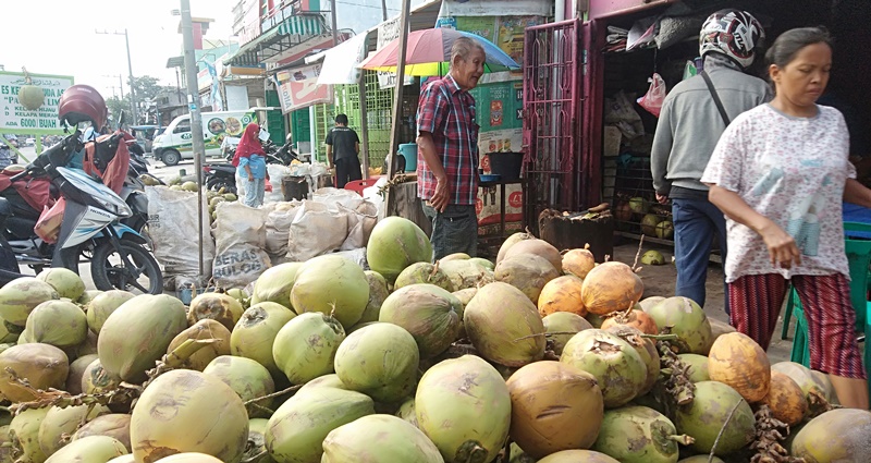 Usaha Es Kelapa Muda Mbak Am Konsisten selama 14 Tahun